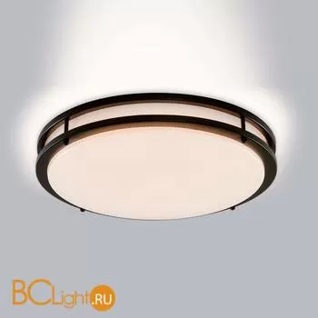 Потолочный светильник Citilux Бостон CL709405