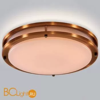 Потолочный светильник Citilux Бостон CL709253