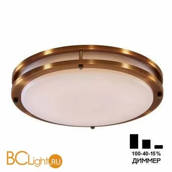 Потолочный светильник Citilux Бостон CL709503N