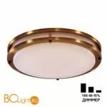 Потолочный светильник Citilux Бостон CL709503N