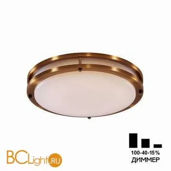 Потолочный светильник Citilux Бостон CL709323N