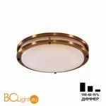 Потолочный светильник Citilux Бостон CL709323N