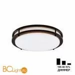 Потолочный светильник Citilux Бостон CL709325N