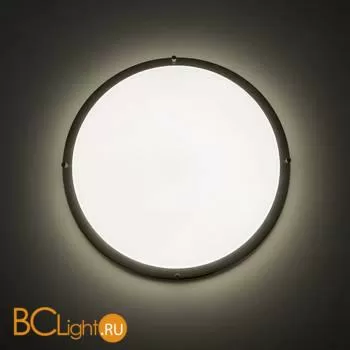 Потолочный светильник Citilux Бостон CL709501N - Фото 7