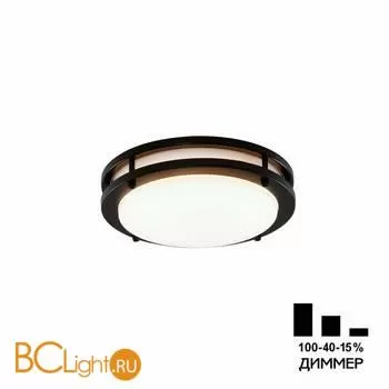 Потолочный светильник Citilux Бостон CL709205N