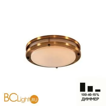 Потолочный светильник Citilux Бостон CL709203N