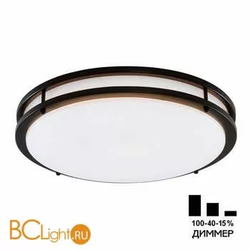 Потолочный светильник Citilux Бостон CL709505N