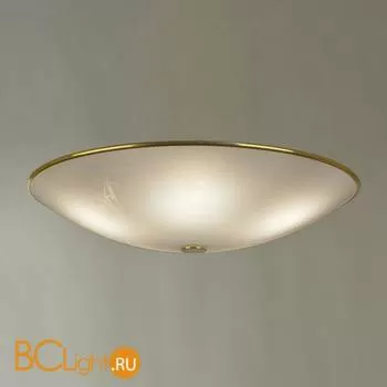 Потолочный светильник Citilux 911 CL911603