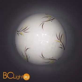 Потолочный светильник Citilux 917 CL917009