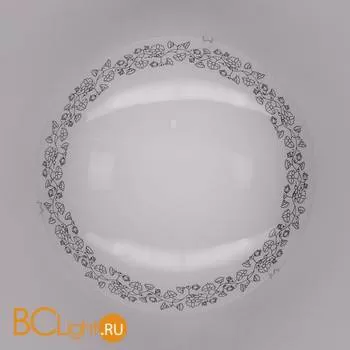 Потолочный светильник Citilux 917 CL917010