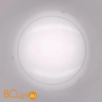 Потолочный светильник Citilux 917 CL917081