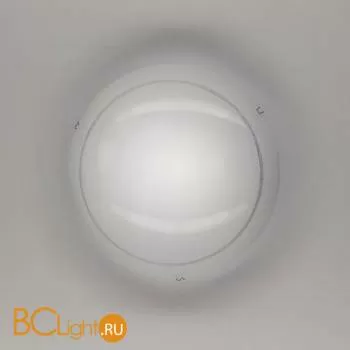 Потолочный светильник Citilux 918 CL918081