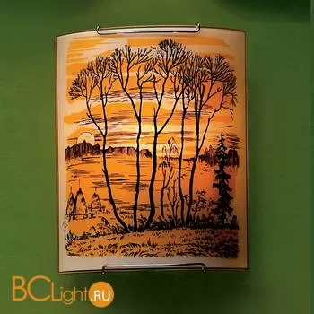 Настенный светильник Citilux 921 CL921017