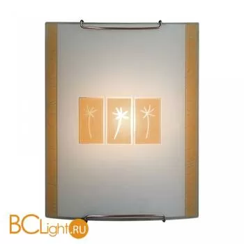 Настенный светильник Citilux CL921041