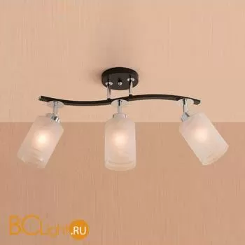 Потолочный светильник Citilux Фортуна CL156131