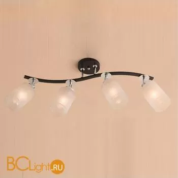 Потолочный светильник Citilux Фортуна CL156141