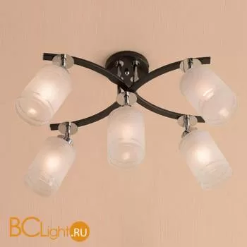 Потолочная люстра Citilux Фортуна CL156151