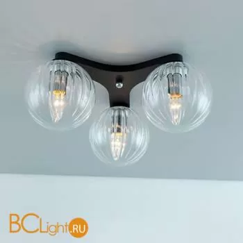 Потолочный светильник Citilux Коптер CL116131 - Фото 1