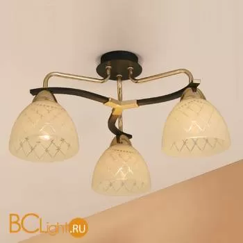 Потолочная люстра Citilux Кристи CL152232