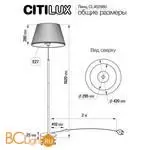 Торшер Citilux Линц CL402980 - Фото 6