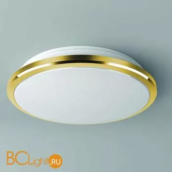 Потолочный светильник Citilux Луна CL702222W