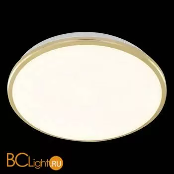 Потолочный светильник Citilux Луна CL702302Wz