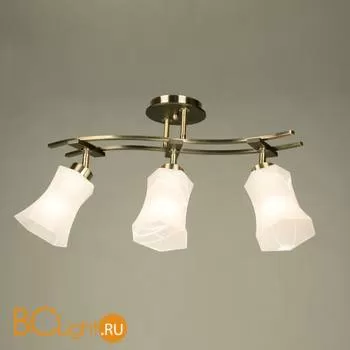 Потолочный светильник Citilux Мерида CL142133