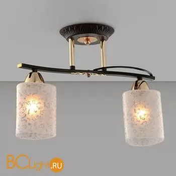 Потолочный светильник Citilux Мотив CL166121