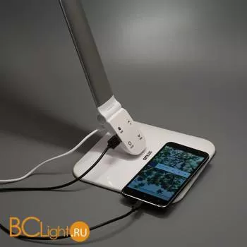 Настольная лампа Citilux Ньютон CL803021 - Фото 1