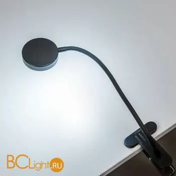 Настольная лампа Citilux Ньютон CL803071N - Фото 3