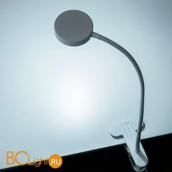 Настольная лампа Citilux Ньютон CL803070N - Фото 1