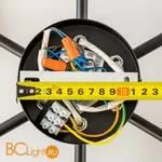 Люстра Citilux Нильс CL132165 - Фото 22