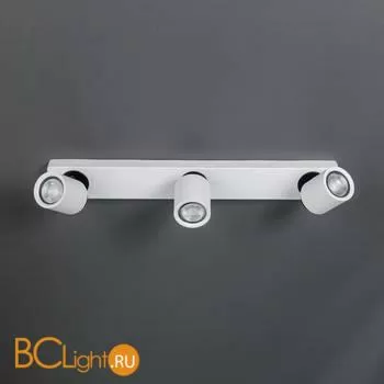 Спот Citilux Норман CL533530