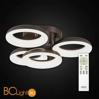 Потолочный светильник Citilux Паркер CL225145R