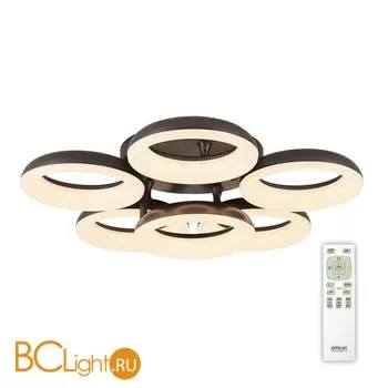 Потолочный светильник Citilux Паркер CL225165R