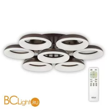 Потолочный светильник Citilux Паркер CL225195R