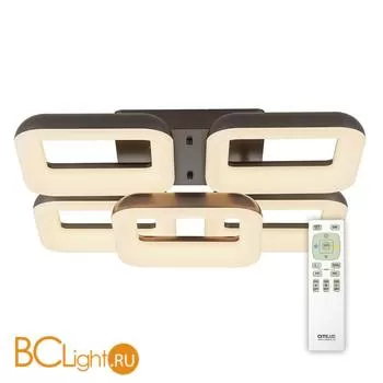 Потолочный светильник Citilux Паркер CL225255R