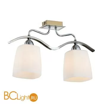 Потолочный светильник Citilux Рада CL149121