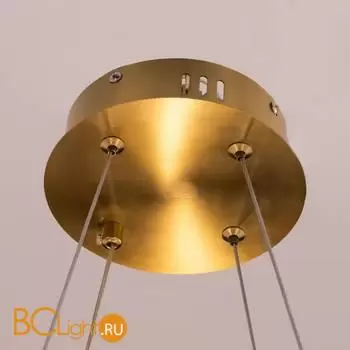 Подвесной светильник Citilux Рианна CL337043 - Фото 17