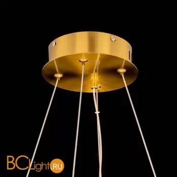 Подвесной светильник Citilux Рианна CL337053 - Фото 13