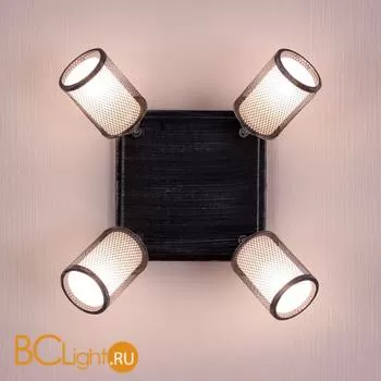 Бра Citilux Робин CL535541