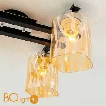 Люстра Citilux Сафари CL145241 - Фото 21