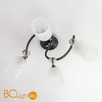 Люстра Citilux Сиерра CL119241 - Фото 1