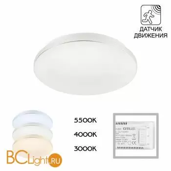 Потолочный светильник Citilux Симпла CL71424SV