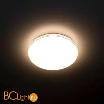 Потолочный светильник Citilux Симпла CL71424SV - Фото 1