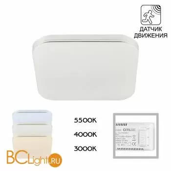 Потолочный светильник Citilux Симпла CL714K24SV