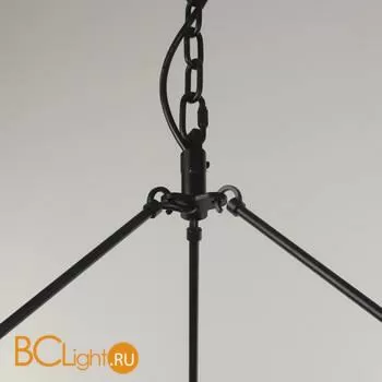 Люстра Citilux Смитсон CL470230 - Фото 1