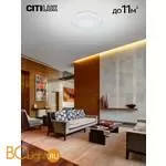 Потолочный светильник Citilux Спутник CL734330G - Фото 2
