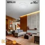 Потолочный светильник Citilux Спутник CL734480G - Фото 2