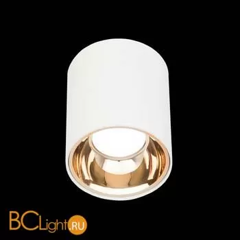 Спот Citilux Старк CL7440103